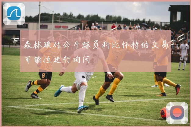 森林狼对公牛球员科比怀特的交易可能性进行询问