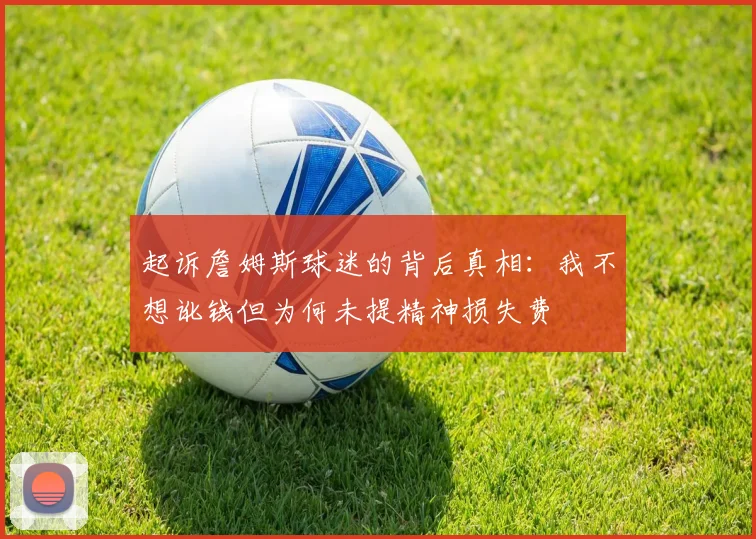 起诉詹姆斯球迷的背后真相：我不想讹钱但为何未提精神损失费