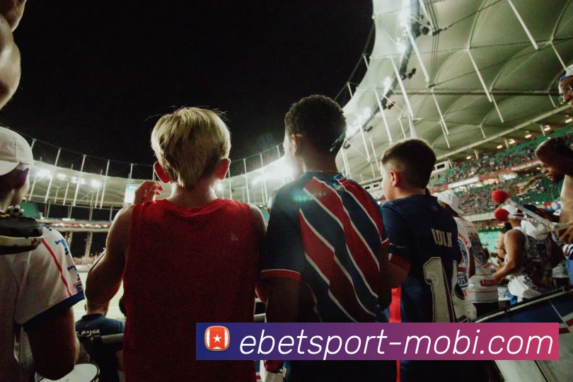 易倍体育APP 封面图